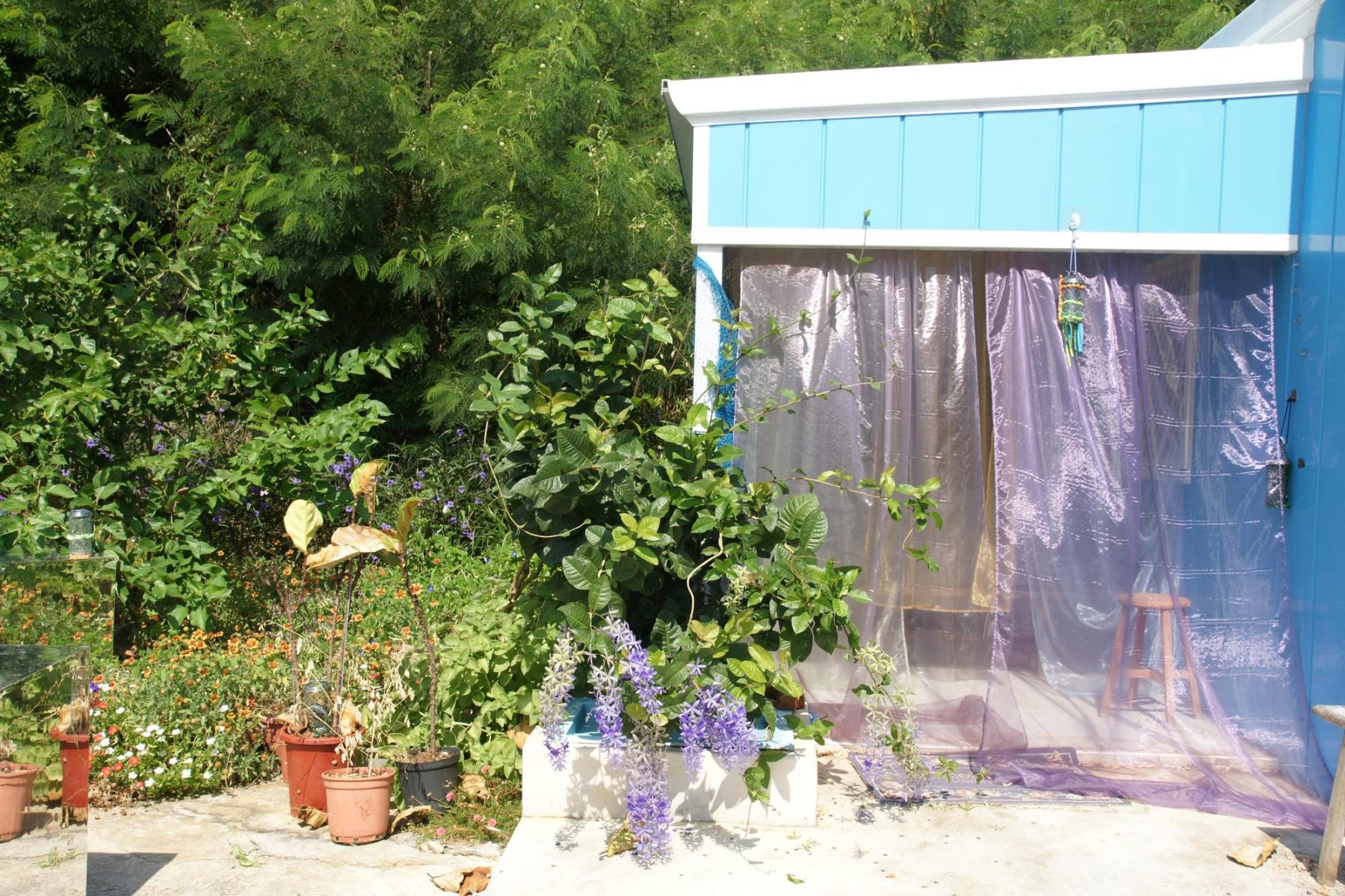 小赤藍屋