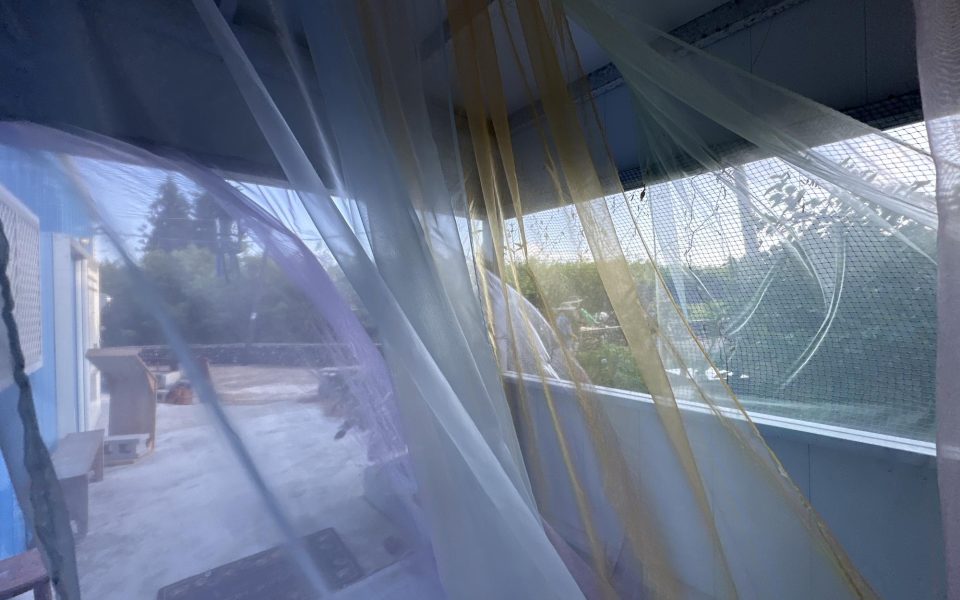 小赤藍屋現場