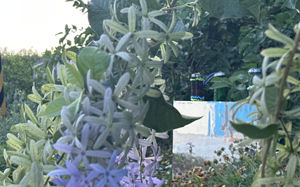 小赤藍屋現場
